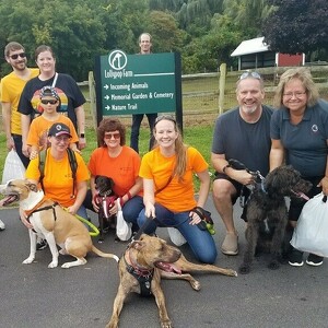 Team Page: Stray Voltage